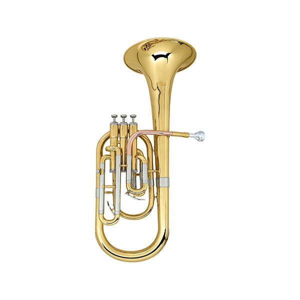Baritosnos y Eufonios Estudiante
